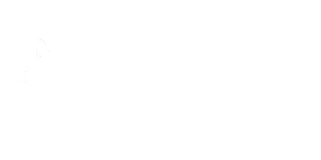 Logo for Robinson, TX