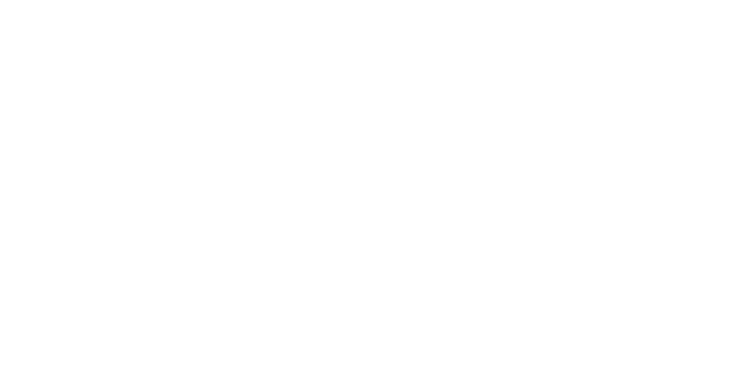 Logo for Charleston County, SC