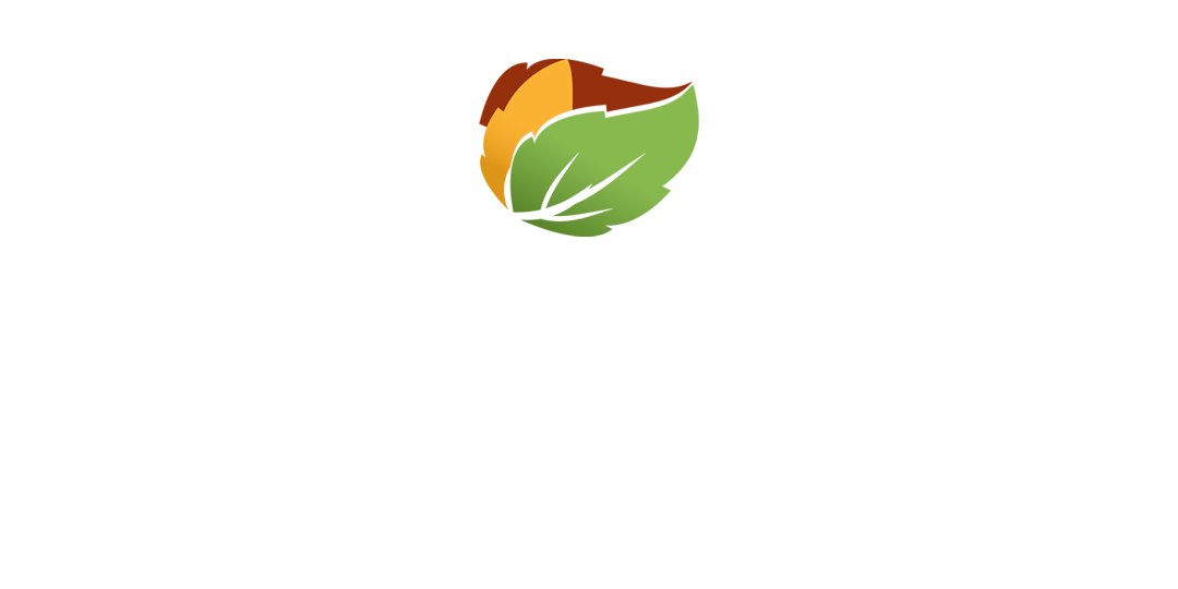 Logo for Forest Park, GA
