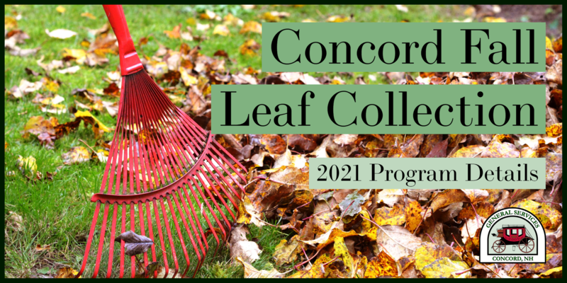 Concord Fall Leaf Collection