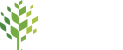 City of Raleigh, NC Logo